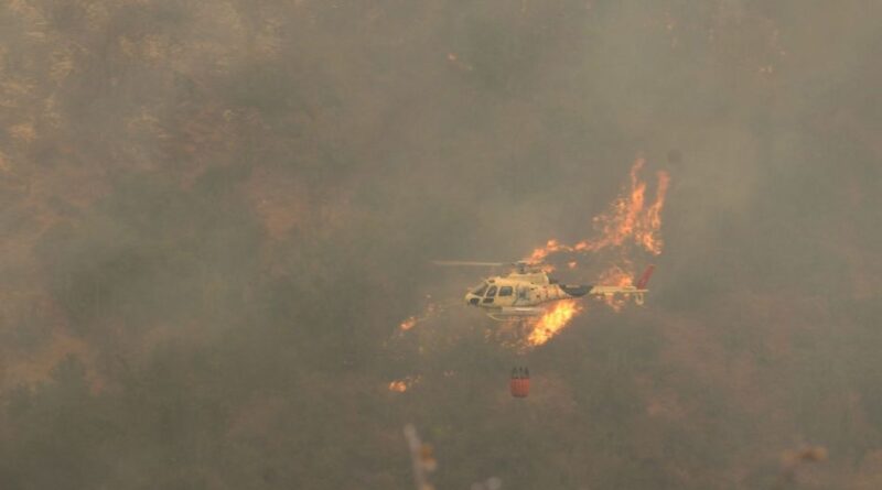 Costa do Chile é atingida por incêndios florestais